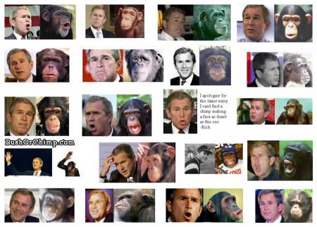 je me dis� a koi ressembl� bush